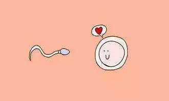 昆明做三代试管大概多少钱